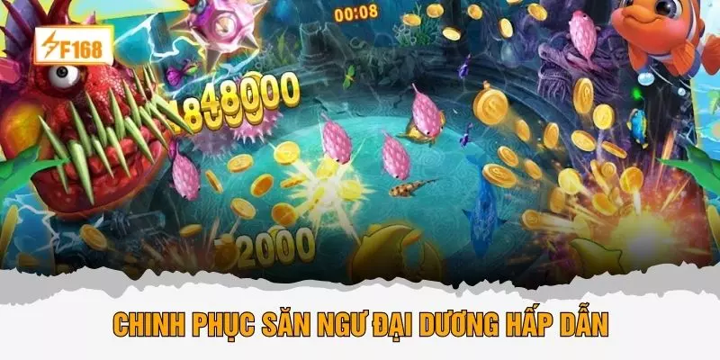Chinh phục săn ngư đại dương hấp dẫn